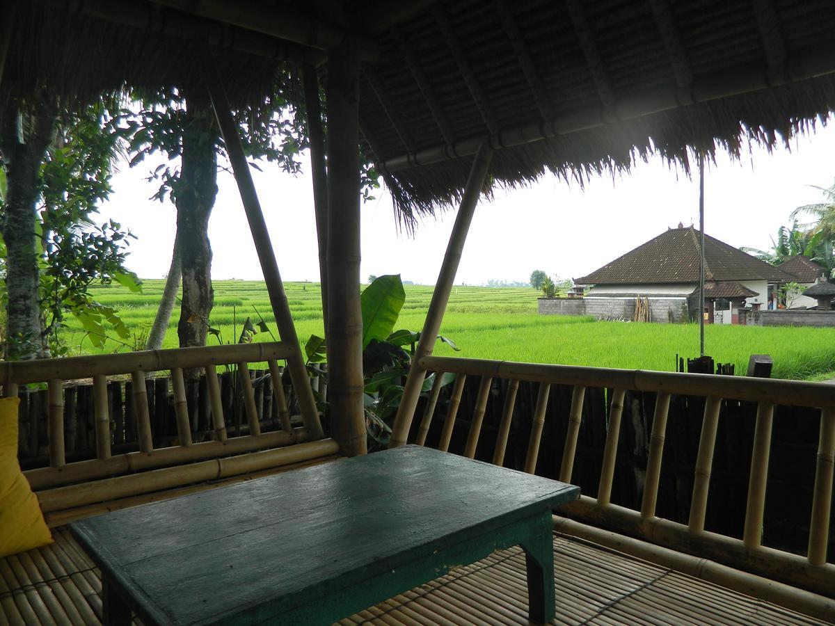 D'Tegale Homestay Cepaka Zewnętrze zdjęcie