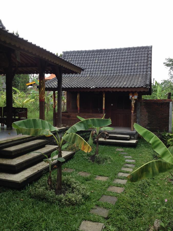 D'Tegale Homestay Cepaka Zewnętrze zdjęcie